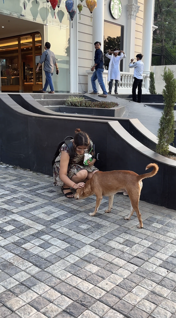 Darshita petting a friendly dog outside a coffee shop
